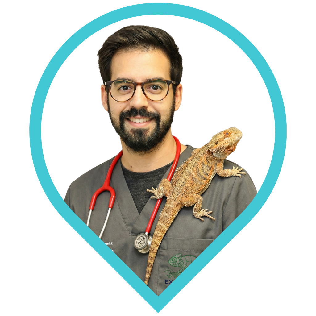 Dr. João Esteves - Médico Veterinário Especialista em Animais Exóticos em Portugal Dr. João Esteves - Médico Veterinário Especialista em Animais Exóticos em Portugal